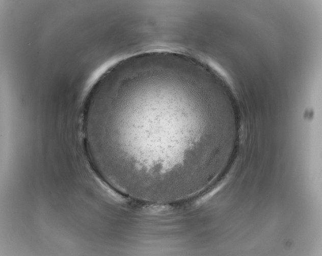 X0000091861310200709051159