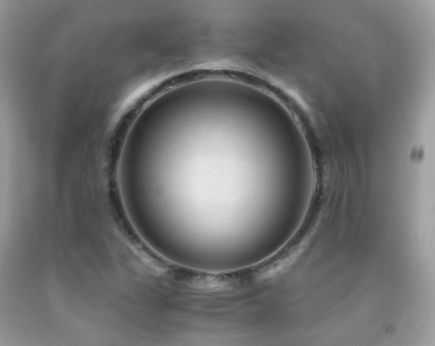 X0000091861311200709051159