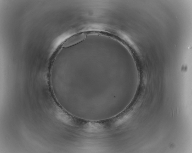 X0000091861312200709051159