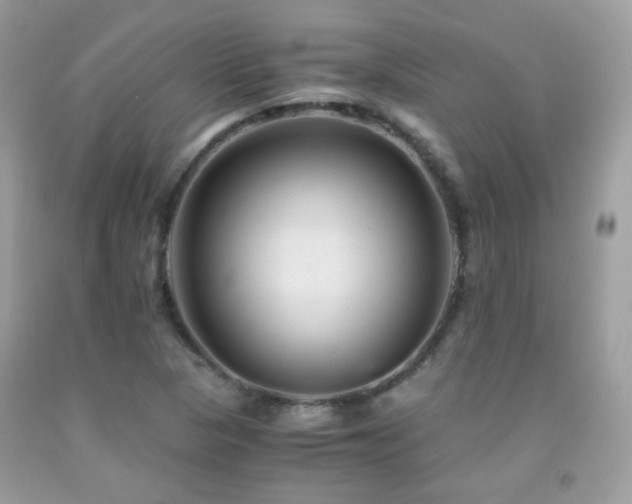 X0000091861313200709051159