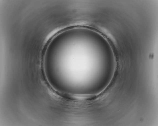 X0000091861316200709051159