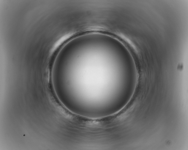 X0000091861317200709051159