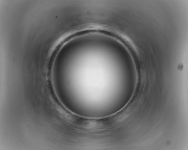 X0000091861318200709051159
