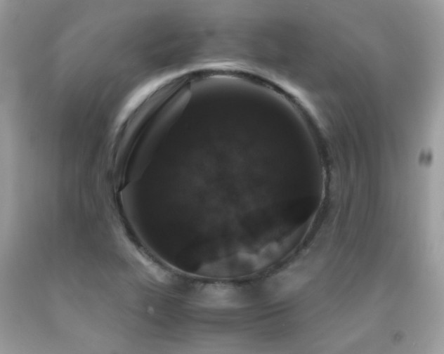 X0000091861319200709051159