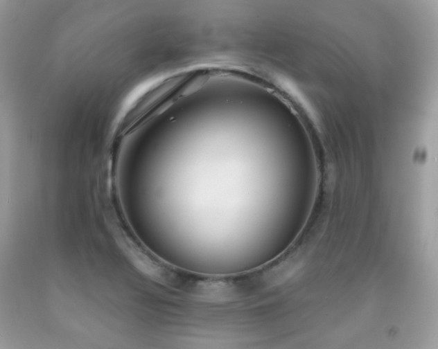 X0000091861320200709051159
