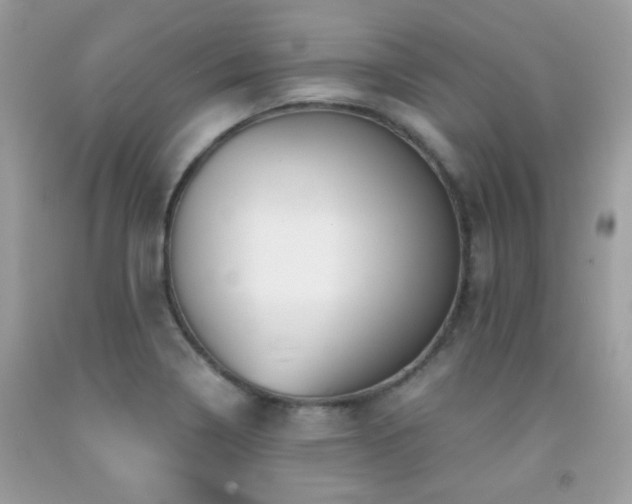 X0000091861322200709051159