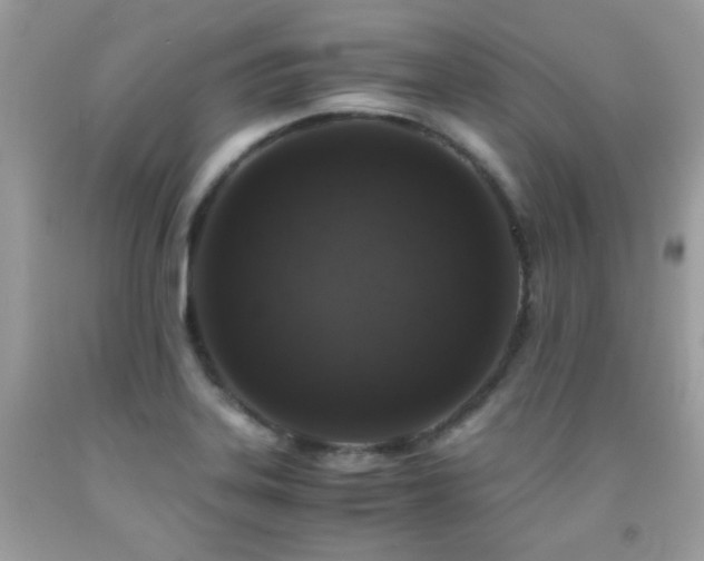 X0000091861323200709051159