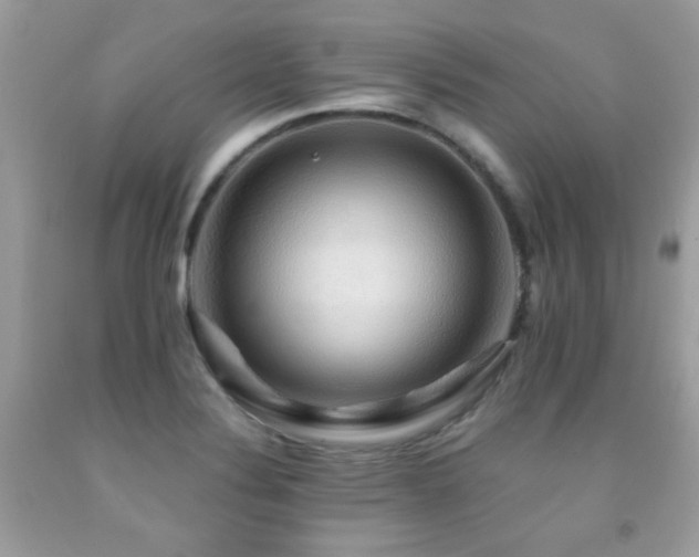 X0000091861324200709051159