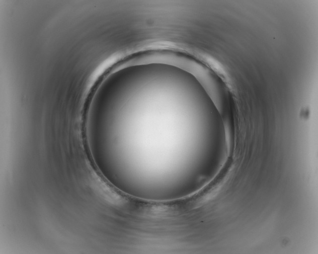 X0000091861326200709051159