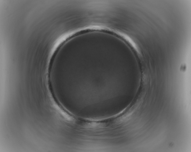 X0000091861327200709051159