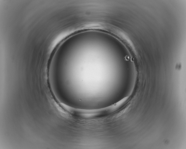 X0000091861328200709051159