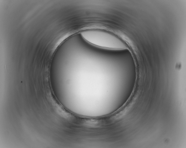 X0000091861329200709051159
