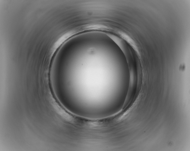 X0000091861330200709051159