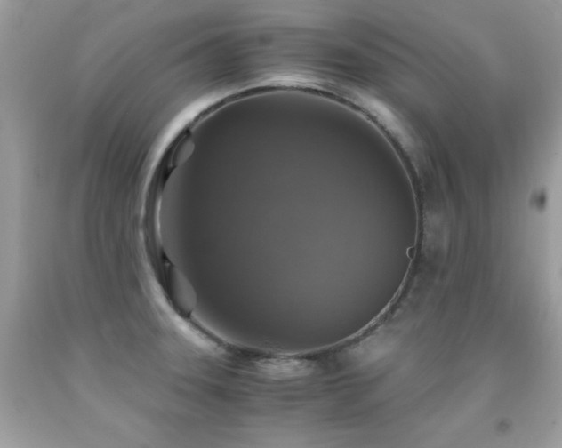 X0000091861331200709051159