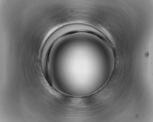 X0000091861332200709051159
