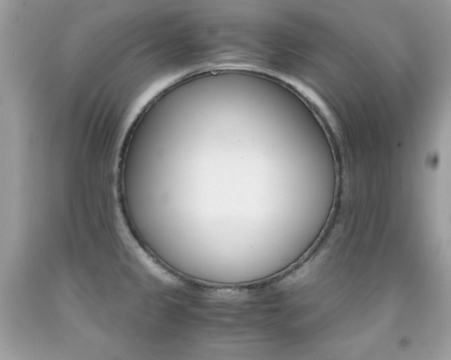 X0000091861333200709051159
