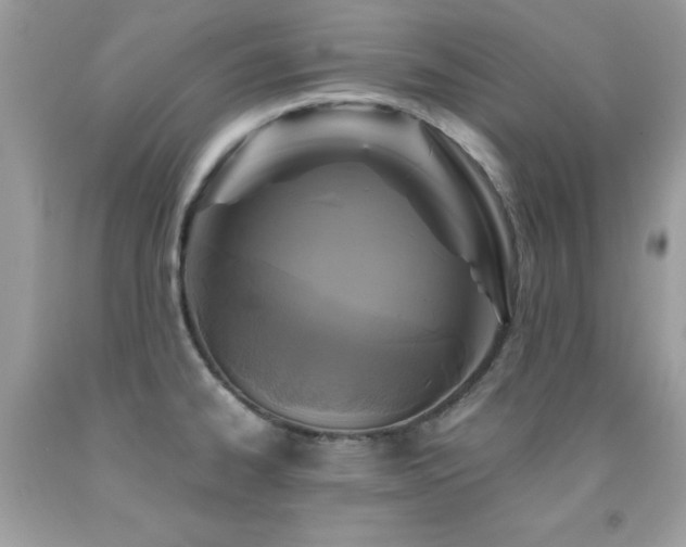 X0000091861334200709051159