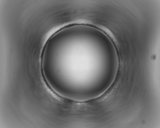 X0000091861335200709051159