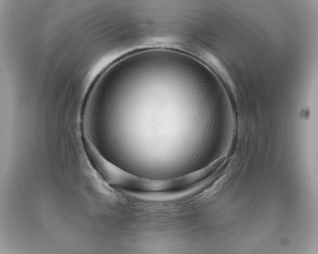 X0000091861336200709051159