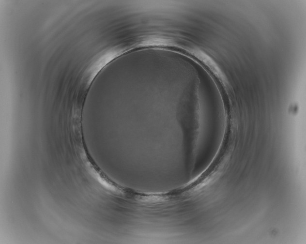 X0000091861337200709051159