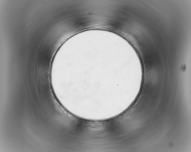 X0000091861338200709051159