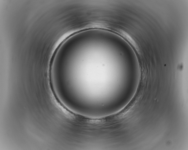 X0000091861339200709051159