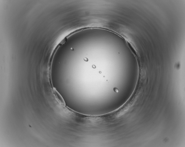 X0000091861340200709051159