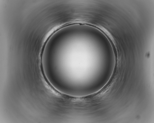X0000091861341200709051159