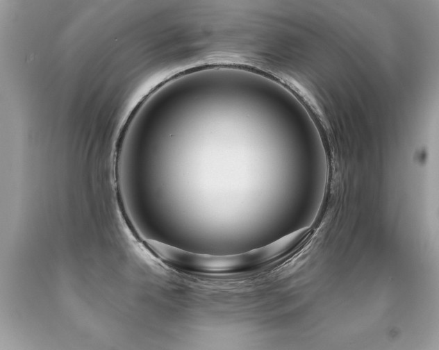 X0000091861342200709051159