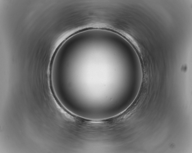 X0000091861343200709051159