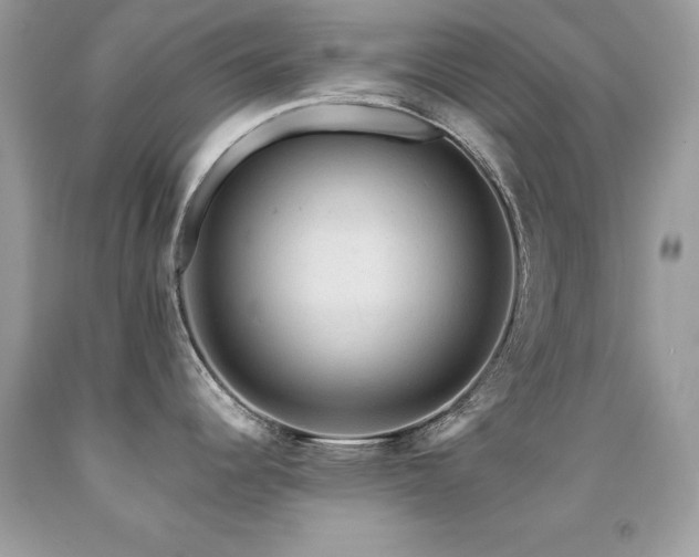 X0000091861344200709051159