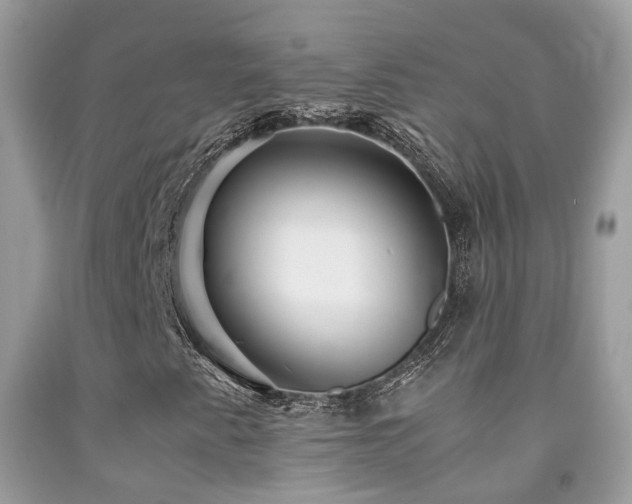 X0000091861345200709051159