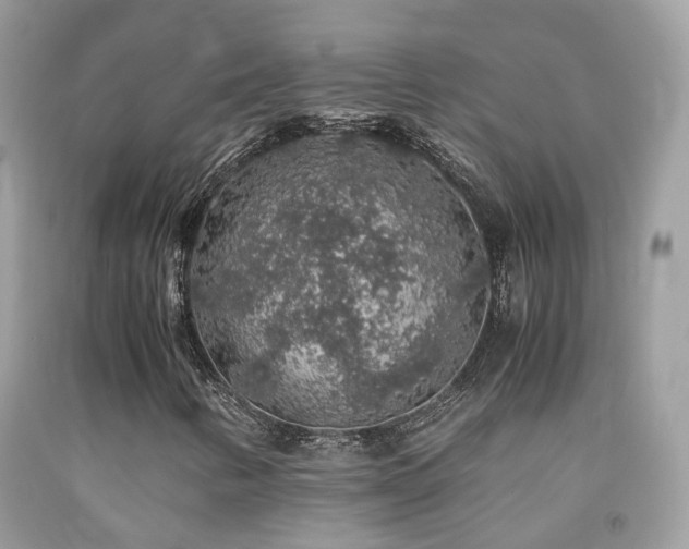 X0000091861346200709051159