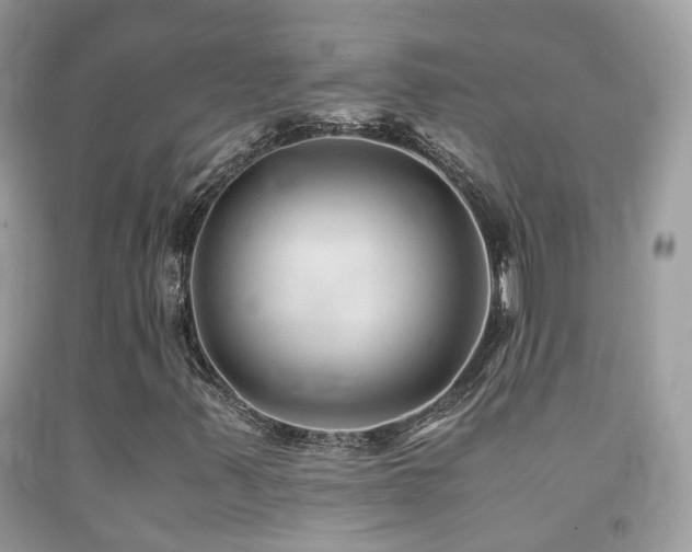 X0000091861347200709051159