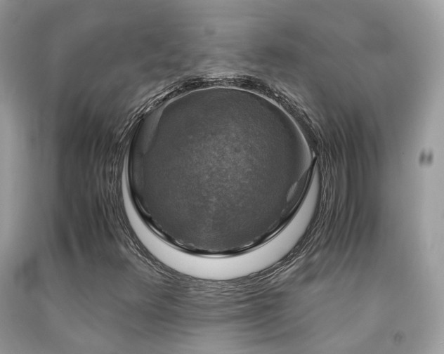 X0000091861348200709051159