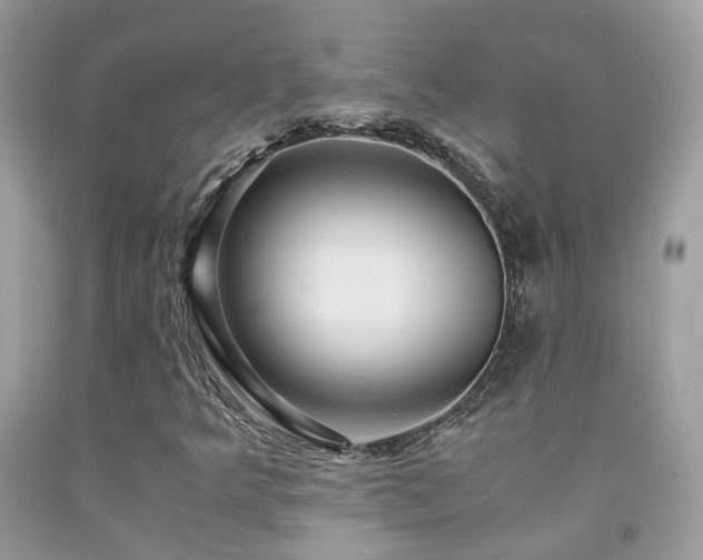 X0000091861349200709051159