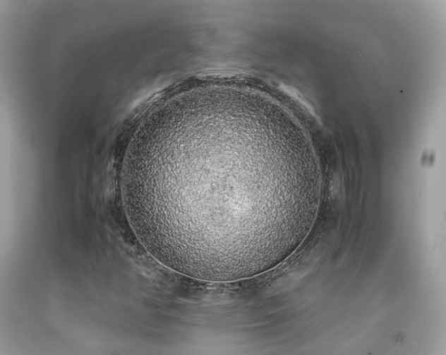 X0000091861350200709051159