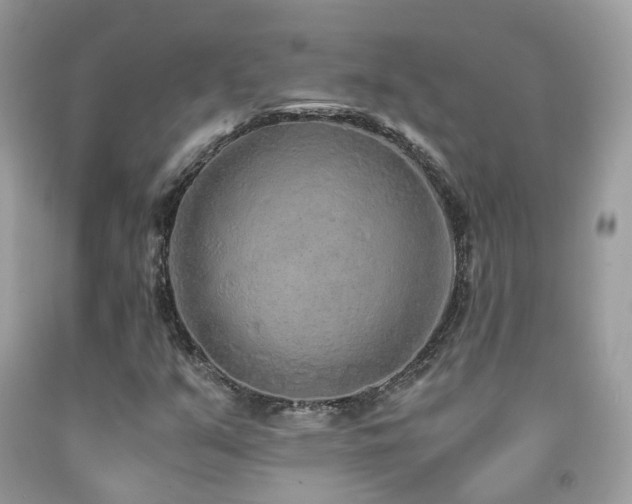 X0000091861351200709051159