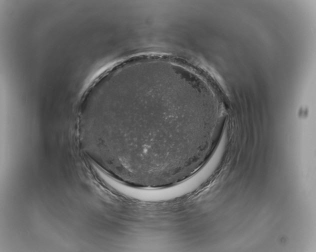 X0000091861352200709051159