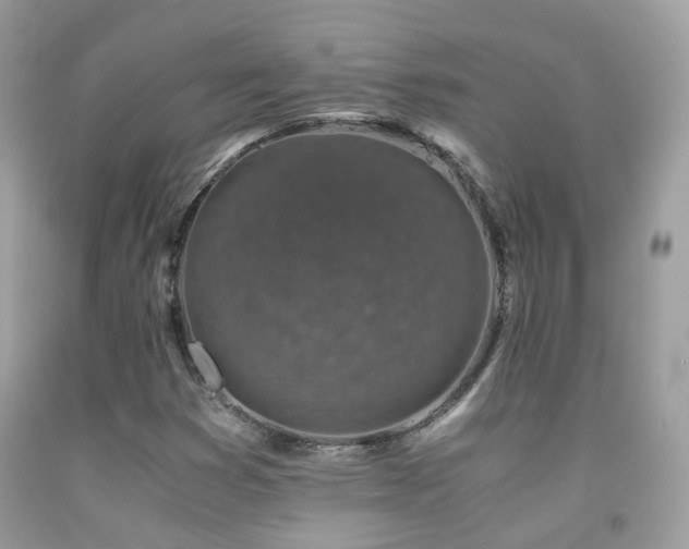 X0000091861353200709051159