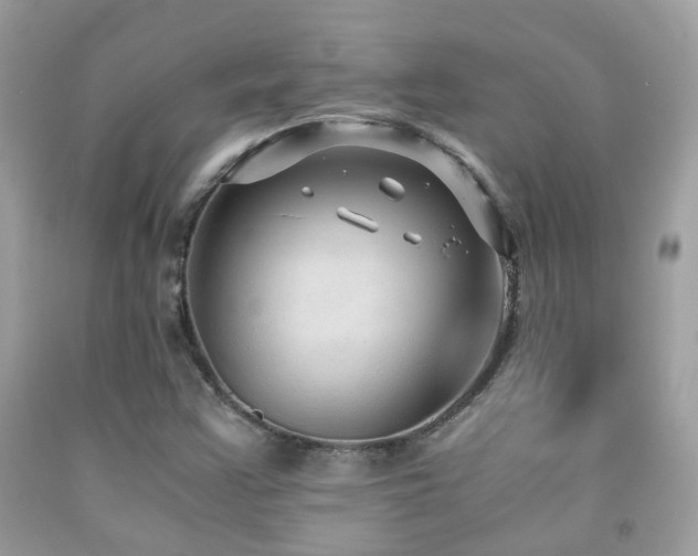 X0000091861355200709051159