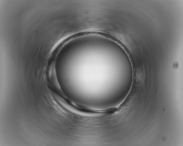 X0000091861356200709051159