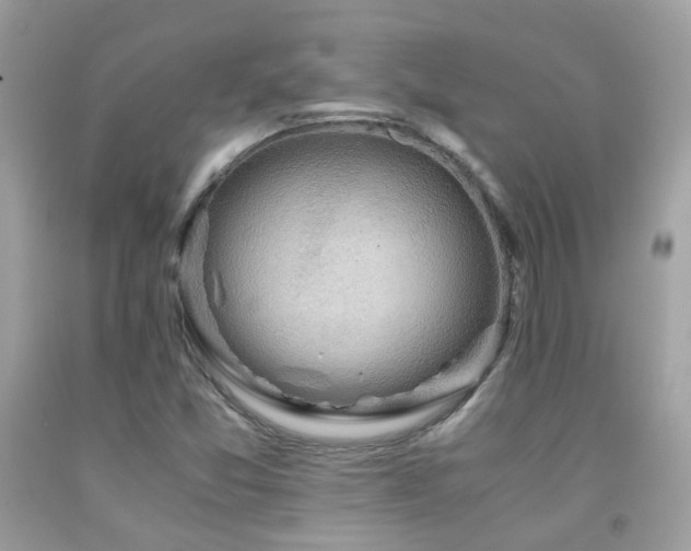 X0000091861357200709051159