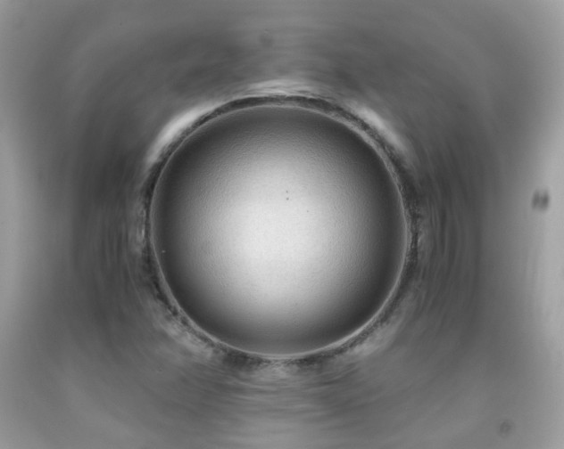 X0000091861358200709051159