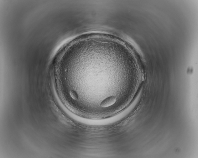 X0000091861360200709051158
