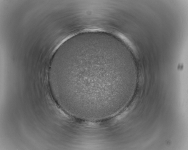 X0000091861361200709051158