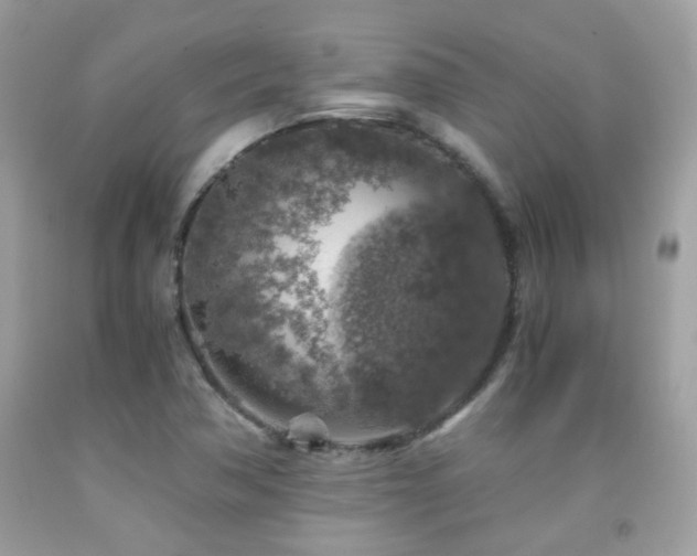 X0000091861362200709051158