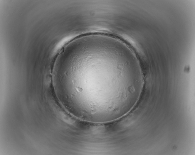 X0000091861363200709051158