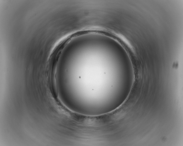X0000091861364200709051158