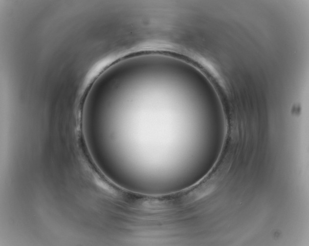 X0000091861366200709051158